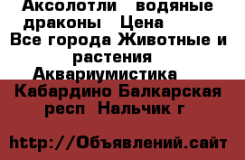 Аксолотли / водяные драконы › Цена ­ 500 - Все города Животные и растения » Аквариумистика   . Кабардино-Балкарская респ.,Нальчик г.